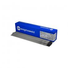 Platinum North America WC-1113032M15 - 6013 ELECTRODE