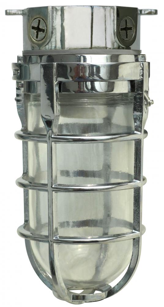 BULB- (6) 300W IN BUDDY STORAGE CASE