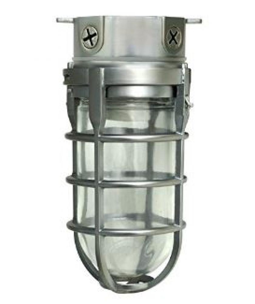 BULB- (6) 250W IN BUDDY STORAGE CASE