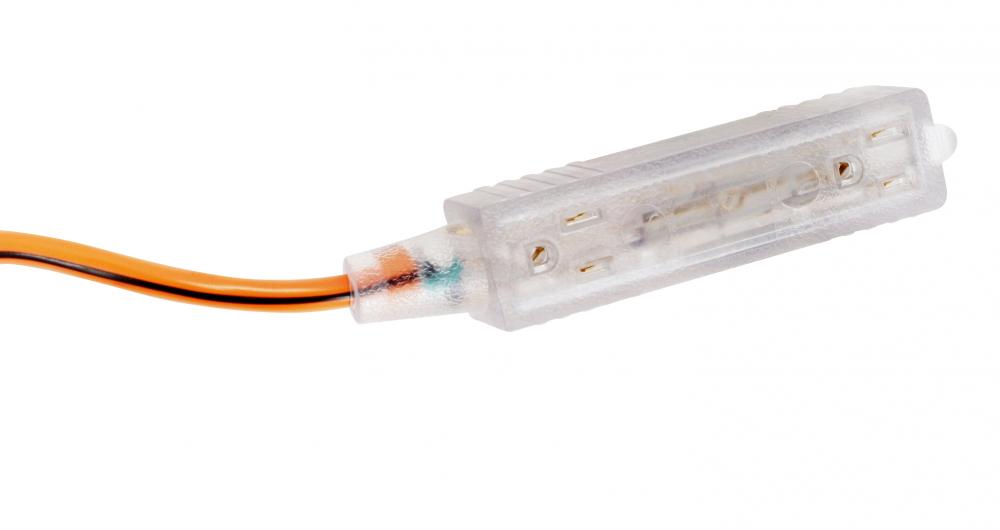 BULB- (3) 500W IN BUDDY JR STORAGE CASE