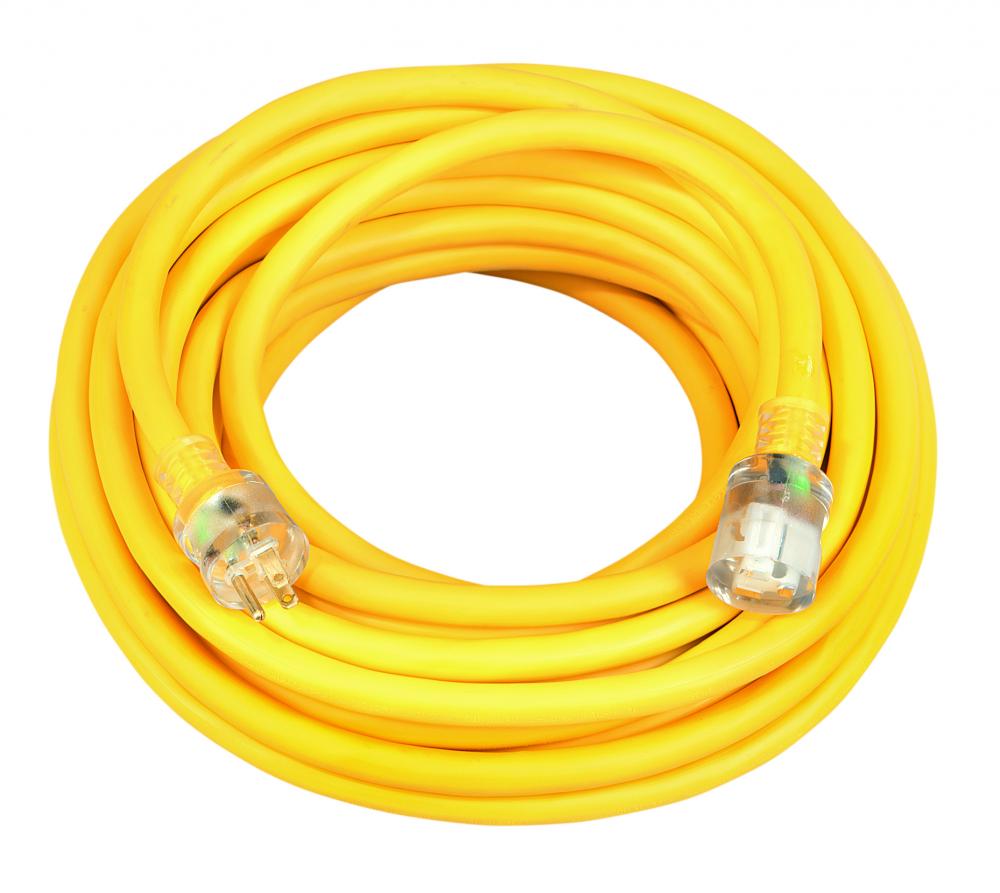 30A 125/208V 3 PHASE PLUG