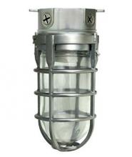 Southwire L21 - BULB- (6) 250W IN BUDDY STORAGE CASE