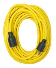 Southwire 94138901 - CUBE TAP- 16/2 12' WHITE EXTENSION