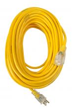 Southwire 306P - 30A 250V TL PLUG