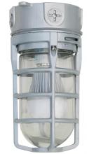 Southwire L23SW - BULB- (6) 500W IN BUDDY STORAGE CASE