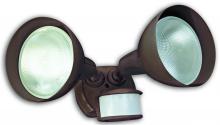 Southwire L954 - LIGHT- SECURITY LED SOLAR WALL