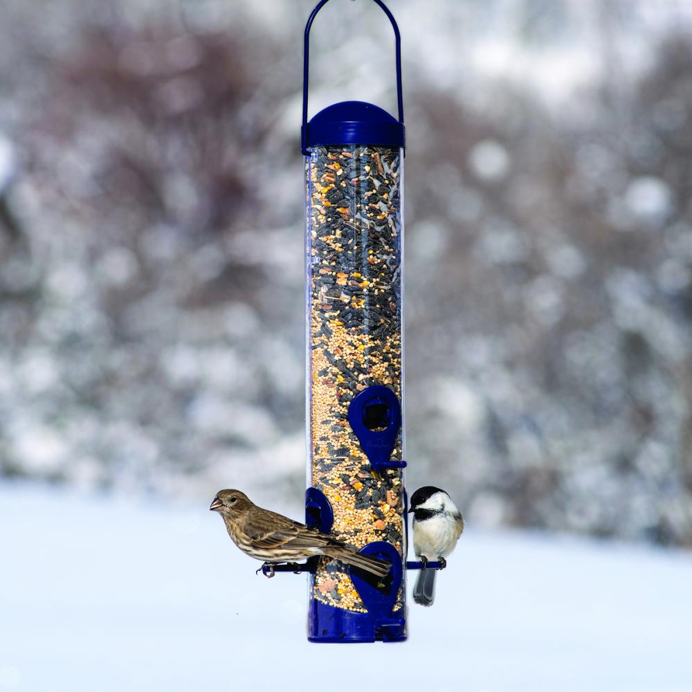 Wild Bird Feeder Plastic Adjustable Ports Sierra Holds 1.8Lb of Seeds
