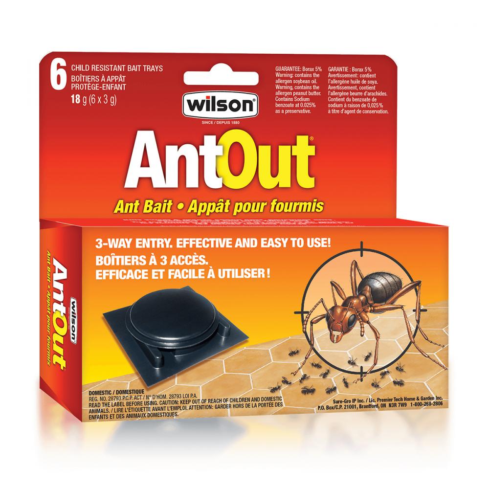 AntOut Plastic Ant Bait Traps 6/Pk