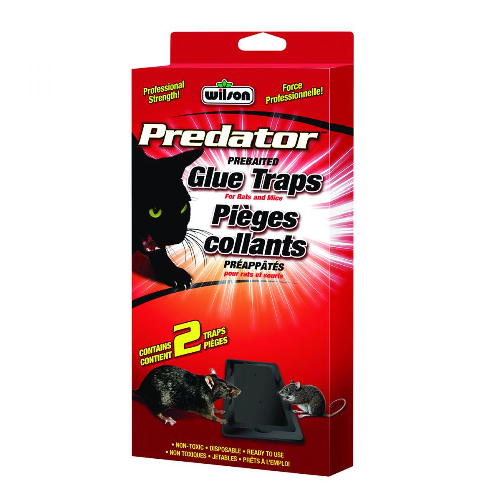 Predator Rat Glue Trap  2 EA