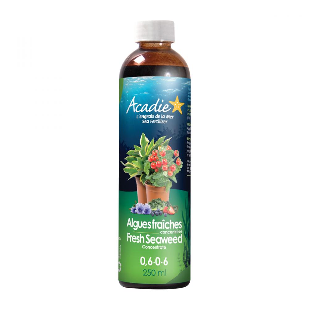 Liquid Fresh Seaweed Fertilizer 0.6-0-6 250ml
