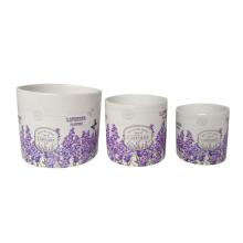 Toolway 184242 - Planter Set Ceramic Round White with Lavender flowers 3/set