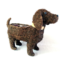 Toolway 184580 - Rattan Dog Planter - Small 19.3x6.7x16.1in