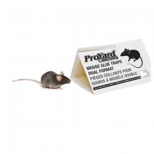 Toolway 185037 - Mouse Glue Traps Foldable 2pk