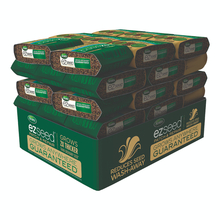 Toolway 88000193 - 56PC Display Patch & Repair 3-in-1 Grass Seed Blend 1-0-0  4.54Kg