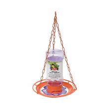 Toolway 88000253 - Oriole Wild Bird Feeder Jelly Jar 32oz