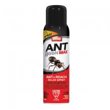 Toolway 88002134 - Ant B Gon Max Ant & Roach Killer Spray 400g