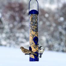 Toolway 88003260 - Wild Bird Feeder Plastic Adjustable Ports Sierra Holds 1.8Lb of Seeds