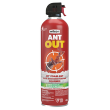 Toolway 88035645 - AntOut Ant Killer Foam Aerosol 425 G
