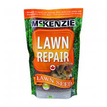 Toolway 88037862 - McKenzie Lawn Seed Lawn Repair 1Kg