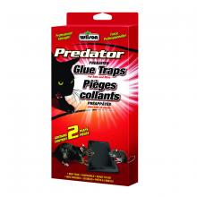Toolway 88074022 - Predator Rat Glue Trap  2 EA