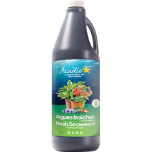 Toolway 88100003 - Liquid Fresh Seaweed Fertilizer 0.6-0-6 1L