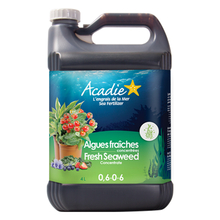 Toolway 88100004 - Liquid Fresh Seaweed Fertilizer 0.6-0-6 4L