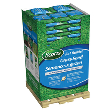 Toolway 88120243 - 75PC Display Turf Builder All Purpose Blend Grass Seed 1kg